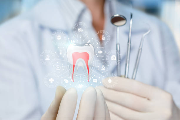 Bayshore, NC Holistic Dental Care Services Company